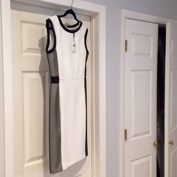 Calvin Klein white and black color block dress - Picture 5 of 5